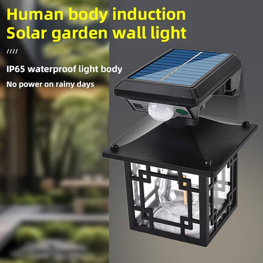 Motion Sensor Solar Light