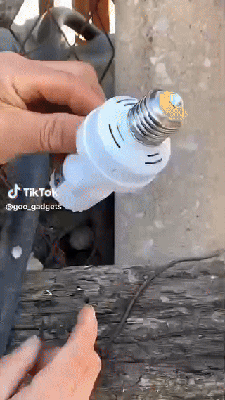Bulb Holder with Sensor Motion