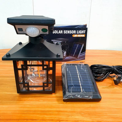 Motion Sensor Solar Light