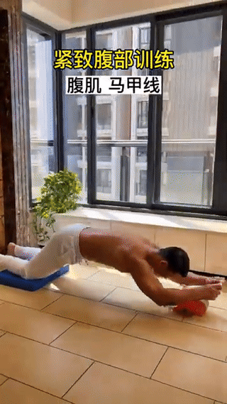 Abs Roller Wheel Exercise