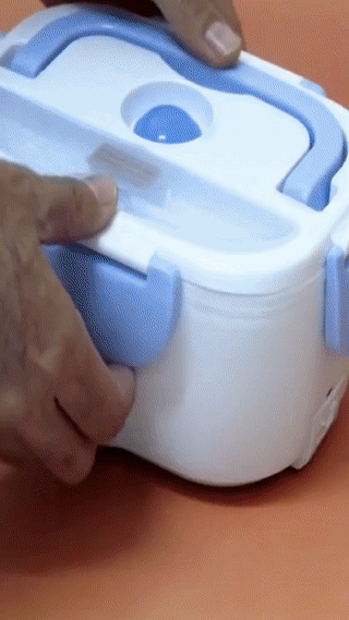 Portable Electric lunch box