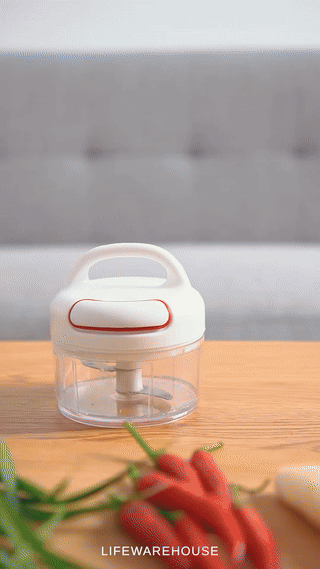 Mini Food chopper