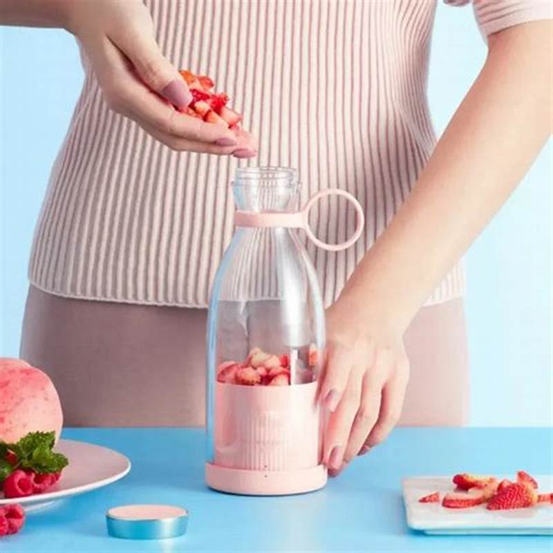 6 blade mini juicer