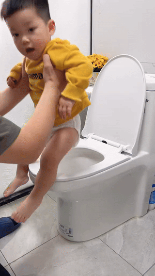 Potty Training Seat With Step Stool
