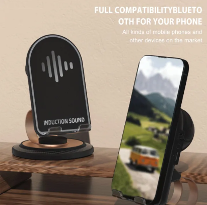 Generic Induction Bracket Speaker