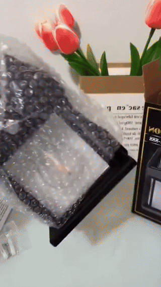 Motion Sensor Solar Light