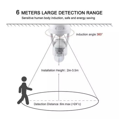 Bulb Holder with Sensor Motion